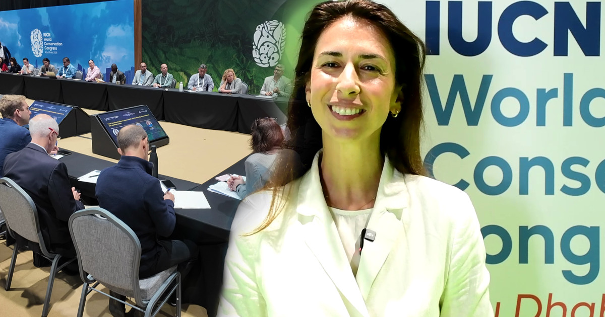 Moyen-Orient : Quand le secteur maritime mise 20 milliards de dollars pour réconcilier décarbonation et biodiversité